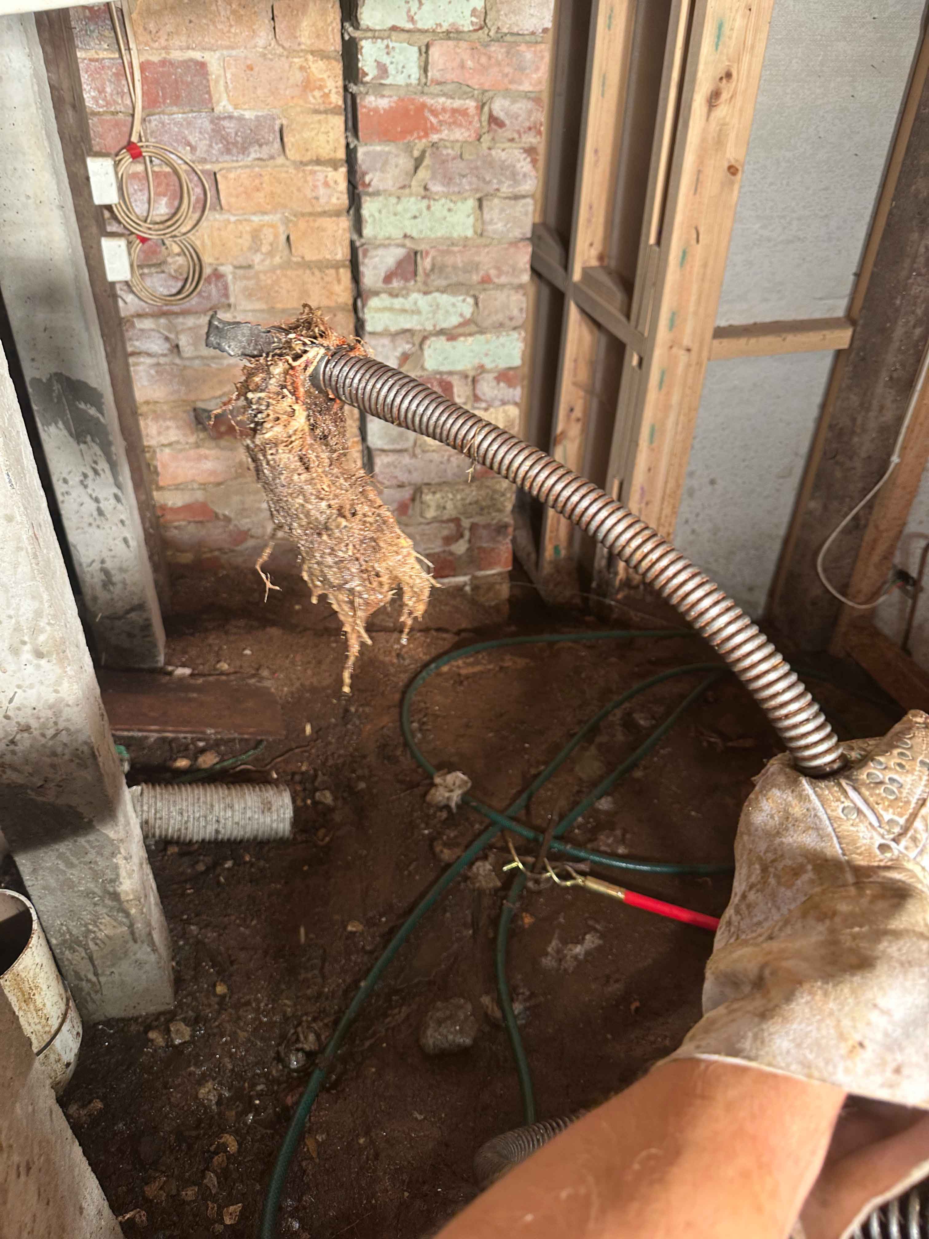 High-pressure drain jetting Mooroolbark